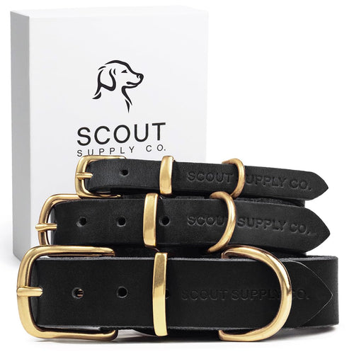 Classic Genuine Leather Dog Collar | Dog Collars for Medium Dogs Small Dogs Large Dogs & Extra Large Dog | Wide Dog Collar | Heavy Duty Dog Collar (Black Medium)